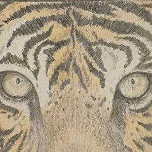 Meet your Posher, Eloy